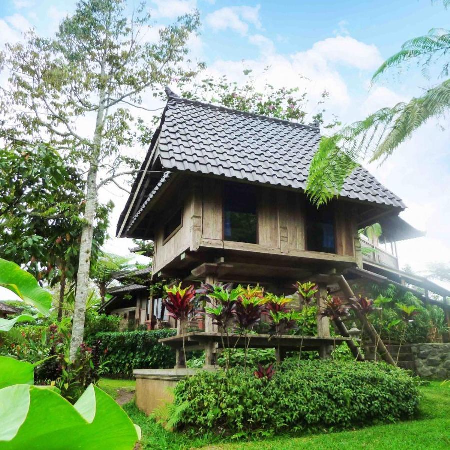 Selemadeg  Bali Mountain Retreatヴィラ エクステリア 写真