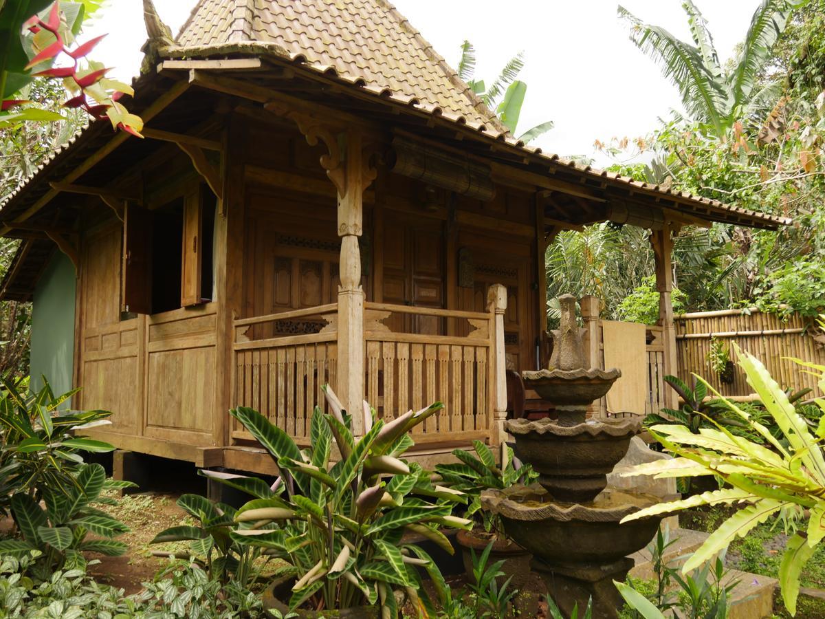 Selemadeg  Bali Mountain Retreatヴィラ エクステリア 写真