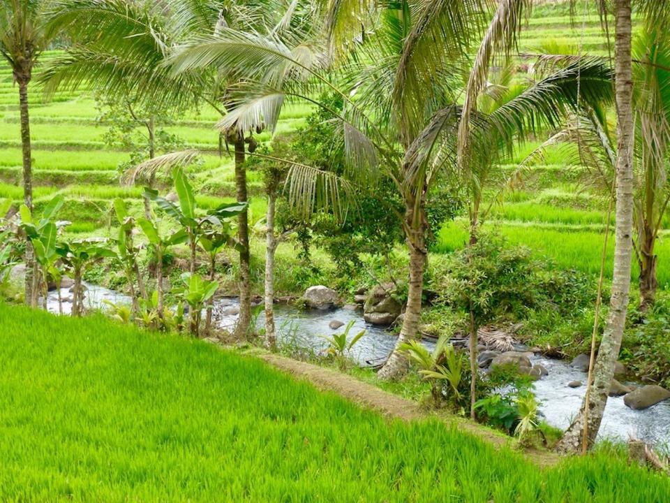 Selemadeg  Bali Mountain Retreatヴィラ エクステリア 写真