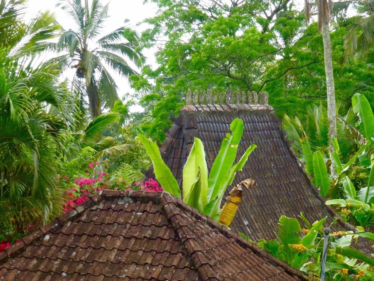 Selemadeg  Bali Mountain Retreatヴィラ エクステリア 写真