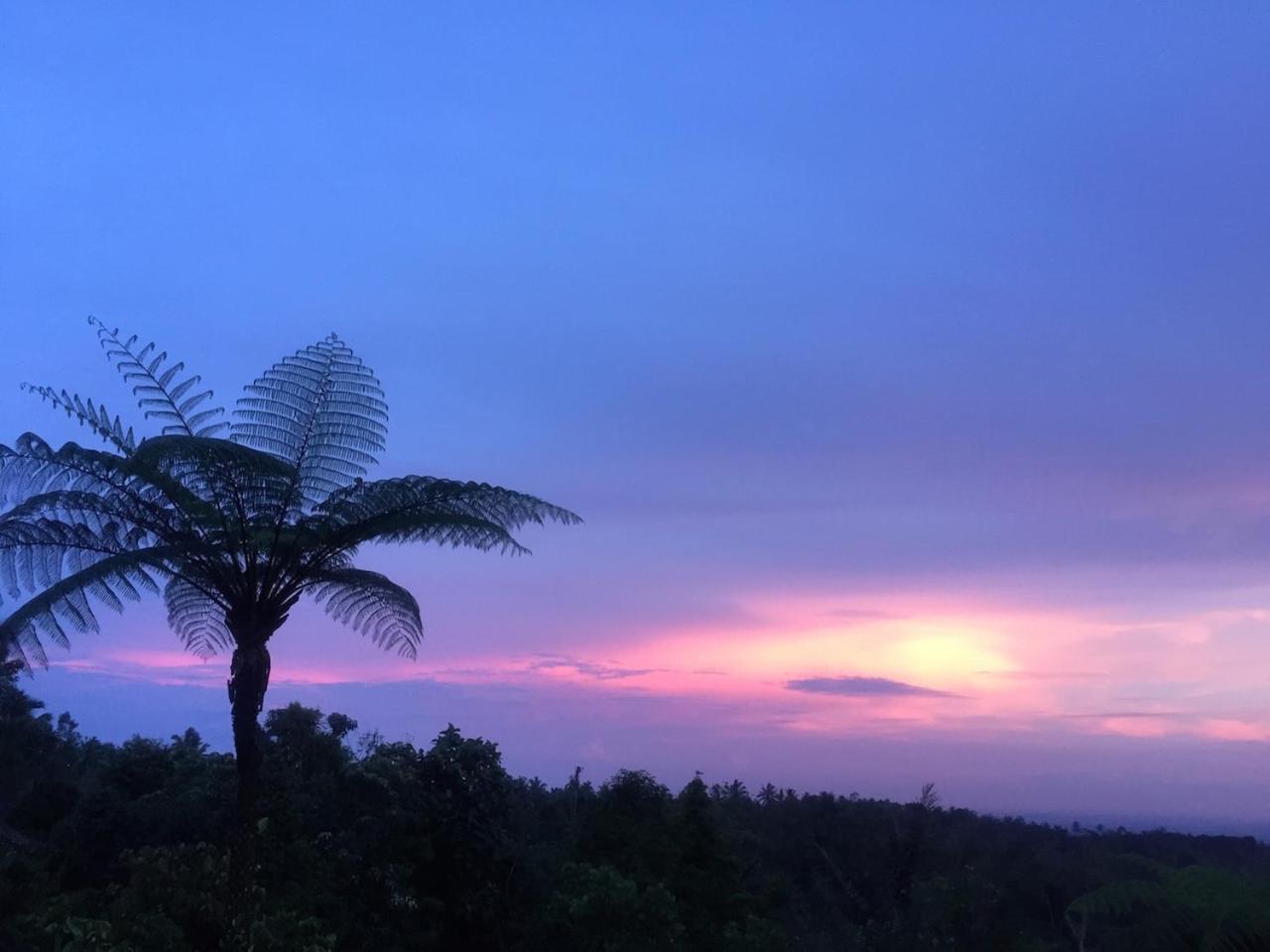 Selemadeg  Bali Mountain Retreatヴィラ エクステリア 写真